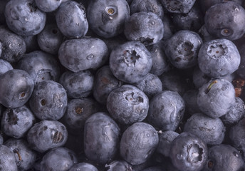 berry blueberry