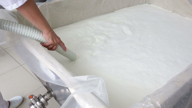 A woman working in a small family creamery is pouring milk for cheese. The dairy farm is specialized in buffalo yoghurt and cheese production.