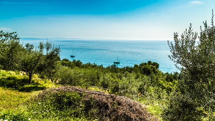 summer in the bay of Trieste
