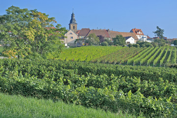 Fototapeta na wymiar der beliebte Weinort Frankweiler an der Südlichen Weinstrasse,Rheinland-Pfalz,Deutschland
