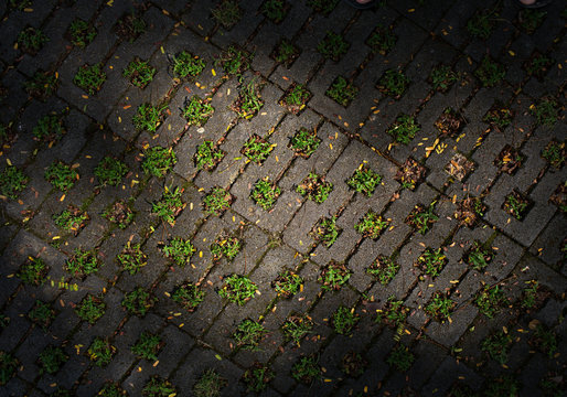 Texture of old cobblestone. City street.