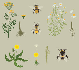 Pattern with Bees and Yellow Flowers