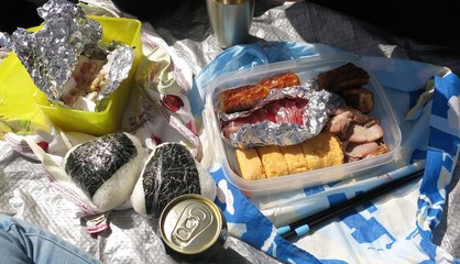 Japanese style lunch box 