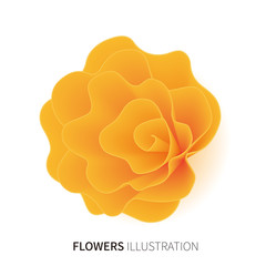 flower_yellow