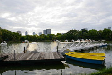 Boats in the Public Garden