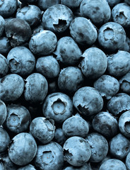 Blueberries background