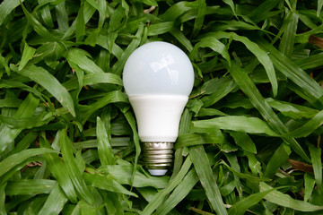 LED bulb - Energy and green nature2