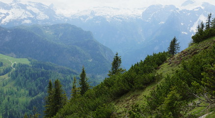 Fototapeta na wymiar sommer in den Alpen in Europa