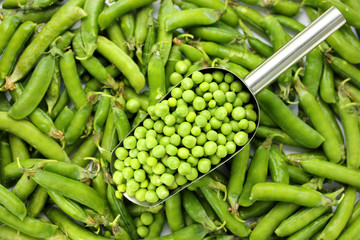 Fresh green peas, cleaned and closed