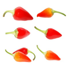 Set of red hot chili peppers isolated on white background, with clipping path