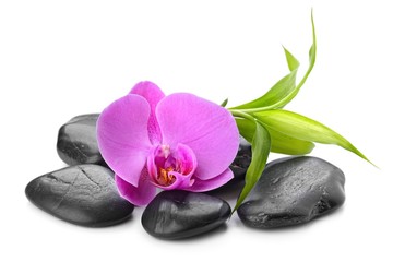 Obraz na płótnie Canvas spa concept with zen basalt stones and orchid isolated on white background