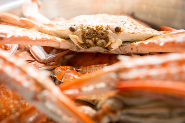 red crab