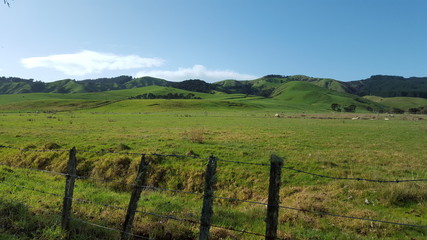 Fototapeta na wymiar The magnificent landscape of New Zealand, Kawakawa bay