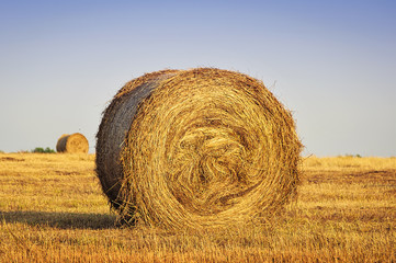 Haystack in the field