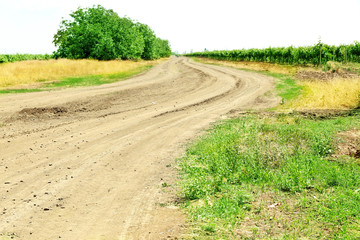 Country road in field