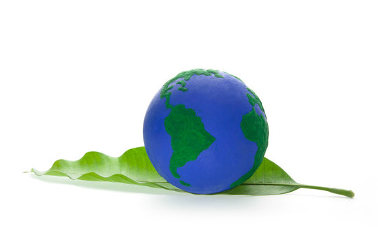 Globe on Green Leaf