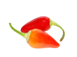  red hot chili peppers isolated on white background