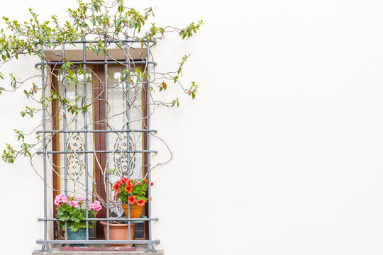 window with flower pots
