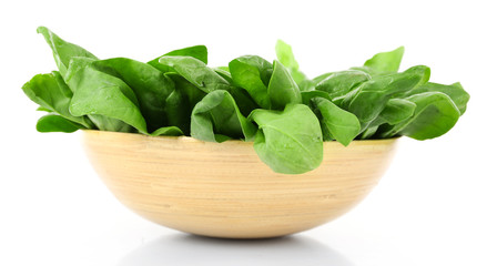 Green fresh leaves of basil in bowl isolated on white
