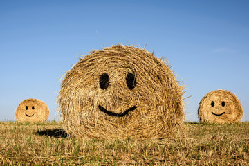 Smile. Smiling hay bales with blue sky.