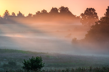 Mist drifts across the rural landscape illuminated by the rising sun, Pomerania, Poland