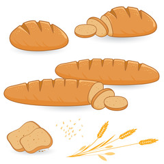 Loafs of bread and sliced bread collection. Vector illustration