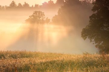 Obraz na płótnie Canvas Misty morning landscape of Pomerania, Poland