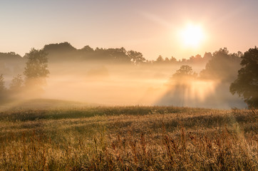Misty morning landscape of Pomerania, Poland