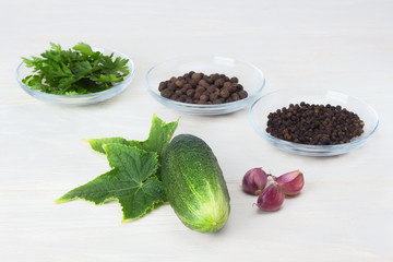 fresh cucumber with green leaves