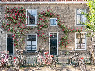 Fototapeta na wymiar Wall of house with front doors, windows and climbing rose, parked bicycles, in the old center