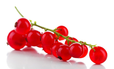 Branch of red currant isolated on white