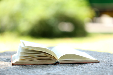 Open book outdoors, on blurred background