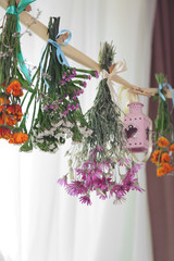 Various herbs and flowers drying on thong on light background