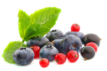Mix of fresh berries isolated on white isolated on white