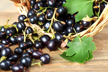 Fresh black currants in wicker basket on wooden table, closeup