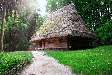 Fototapeta na wymiar Ancient traditional ukrainian house