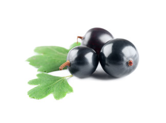 Heap of wild black currant with green leaves isolated on white