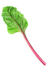 Fresh swiss chard, isolated on white