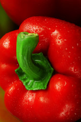 Group of wet colorful peppers, closeup