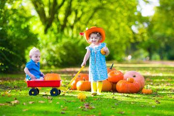 Kids at Halloween pumpkin patch