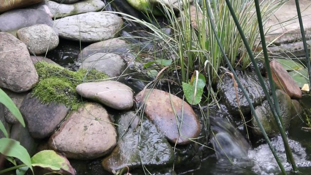 Bachlauf bei einem Teich