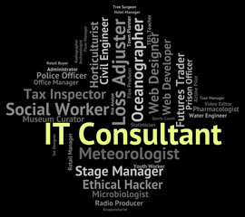 It Consultant Indicates Information Technology And Advisers