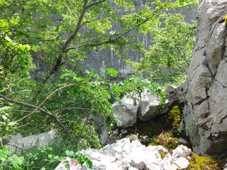 Скалы, камни и зелень летним солнечным днем