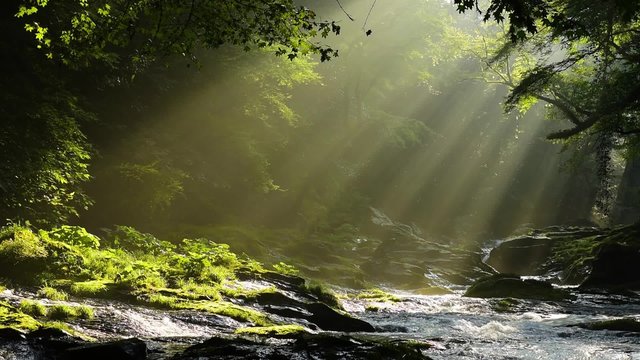 熊本の菊池渓谷　光芒動画