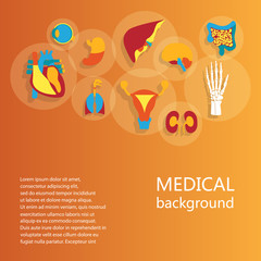 Fototapeta premium Concept of medical background. Human anatomy.