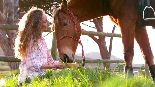 Woman feeding a horse