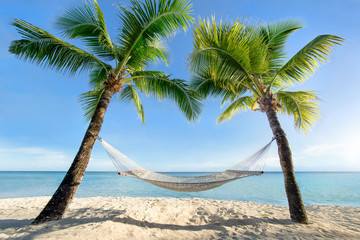 Urlaub am Palmenstrand in der Karibik mit Hängematte