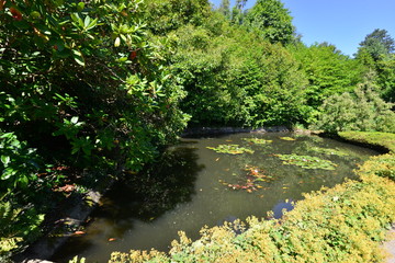 An English country estate with a pond on a hot summers day in August.