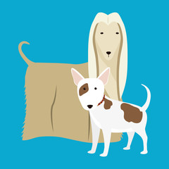 PetÂ´s love design