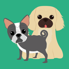 PetÂ´s love design